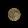 IMGP5692