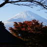 寺院と紅葉と富士