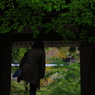 古刹を訪ねて