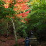 『miyajima 13』