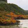 ツツジの紅葉(恵山)