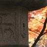 鹿