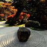 小世界の秋模様【古知谷阿弥陀寺】