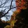 DSC_1011
