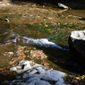 DSC_1074