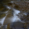 DSC_1082
