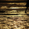 『miyajima 27』