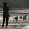 『miyajima 30』