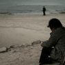 『miyajima 31』