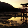 『miyajima 34』