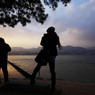 『miyajima 35』