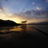 『miyajima 36』
