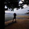 『miyajima 37』