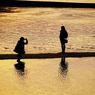『miyajima 38』