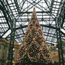 X'mas tree