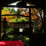 白龍園