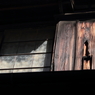 DPP_0006　根津界隈