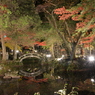 聖宝寺 橋