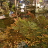 聖宝寺 鏡