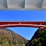 紅秋　庄川峡船の旅７