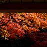 AUTUMN COLOR