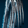 GIFU　BASE　　ブルーインパルス　航空祭2013　⑥