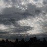 DSC_3355