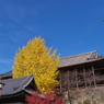 宮島散策 2013 (10)