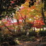 紅葉庭園