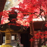 石灯篭と紅葉