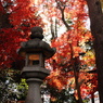 紅天井