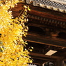 銀杏門