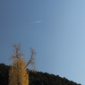 秋空