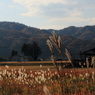 田舎風景