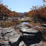 岩畳