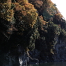 長閑