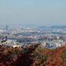 高尾山の紅葉_004