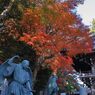高尾山の紅葉_017