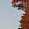 高尾山の紅葉_024