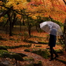 雨歌を聞きながら