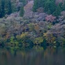 秋彩20：湖畔の彩り