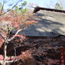 _DSC0055