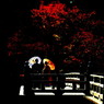 紅に契る