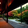 秋の泉涌寺３