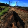 線路