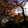 photo_2943736