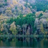 秋彩22：湖畔に佇む