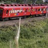 おもちゃ電車とススキ