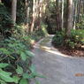 近長谷寺参道