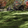 京都嵐山　宝巌院